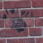 MD Baltimore brain in love