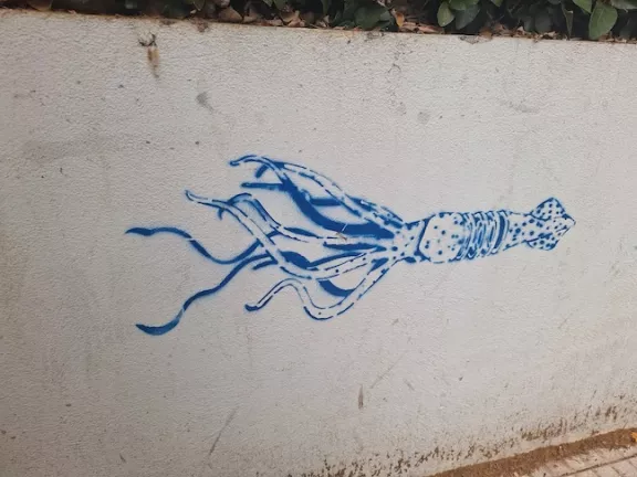 AR Buenos Aires Palermo Squid ph Amanda