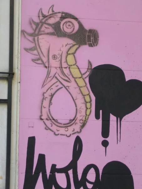 AR Buenos Aires masked seahorse