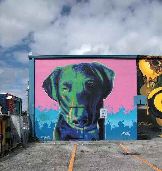 FL Miami Wynwood Walls Kane wall ph J Rojo for BSA