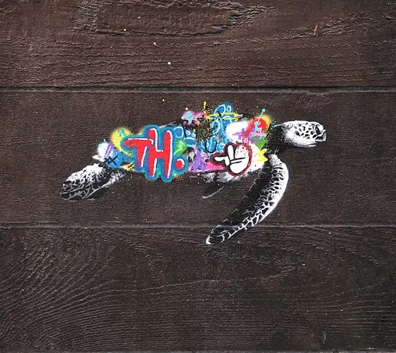 Martin Whatson NYC tagged turtle ph J Rojo for BSA