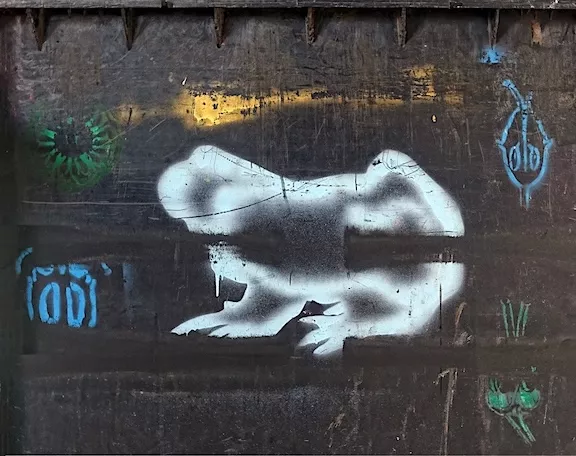 stenc Hamburg frog ph TXMX