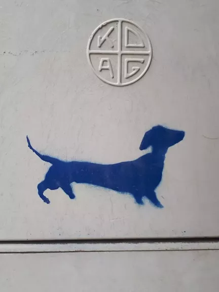 AT Vienna Dachshund dog ph BeneRegoef