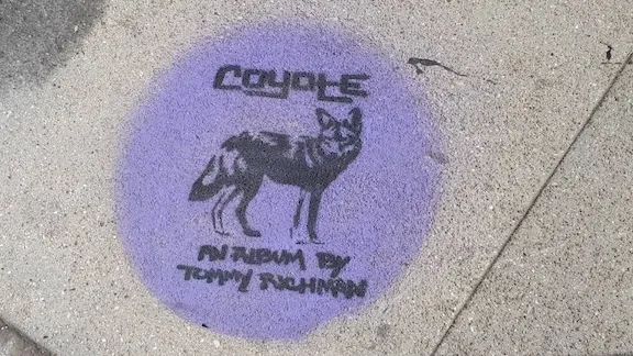 LA Coyote Advert ph BeneRegoef.