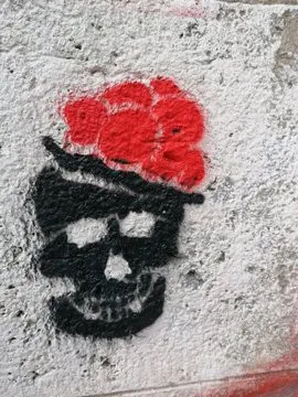 AT Vienna skull ph BeneRegoef