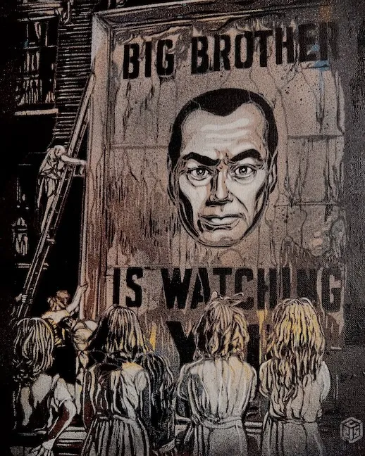 C215 Big Brother is Watching