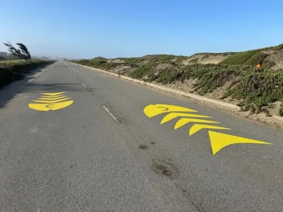 SF Other Sunset Dunes Slow Fishbones ph A Kane