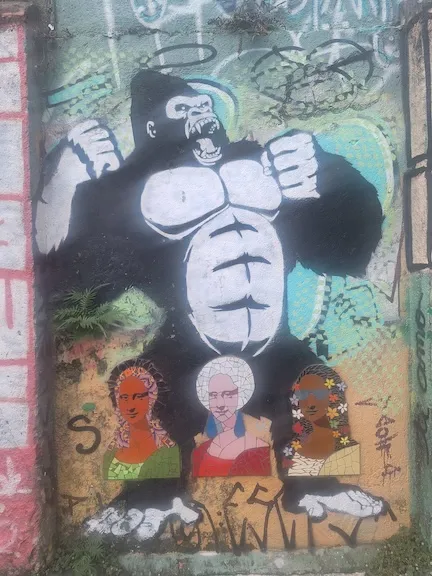 BR Sao Palo gorilla ph Amanda