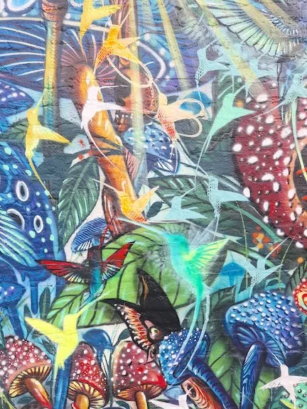 BR Sao Paulo hummingbirds ph Amanda