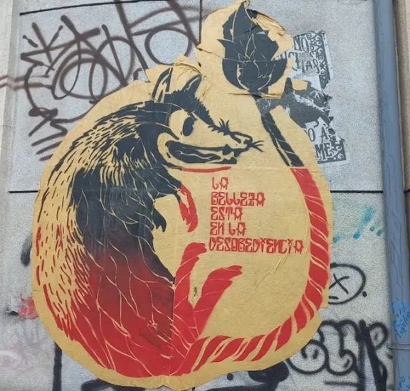CO Bogata Beauty is in Disobedience