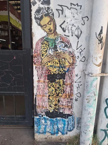 Cartooneros AR Buenos Aires Colegiales Frida Kahlo