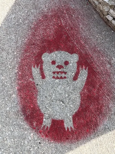 IL Chicago bear ph 00 anywhat