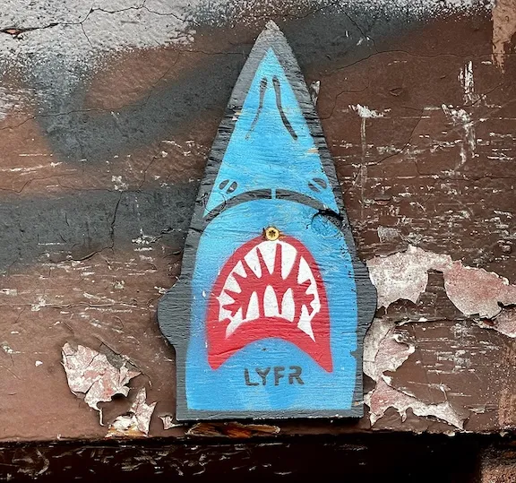 NYC LYFR shark ph J Rojo for BSA