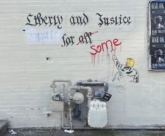 TopZ TurV WA Seattle Anti Trump Liberty for Some ph sneark