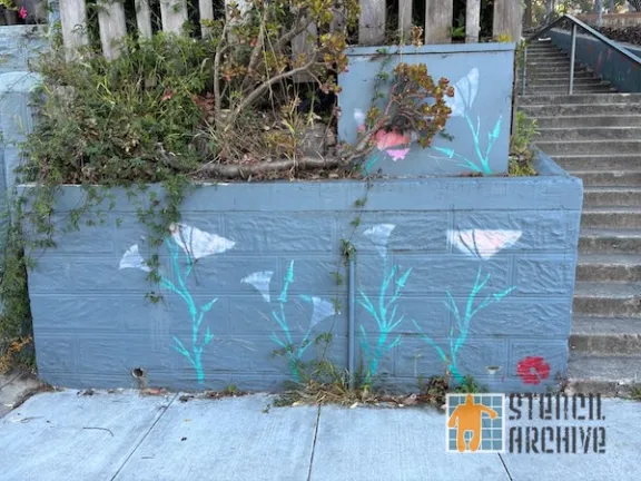 SF Mission Dist flowers