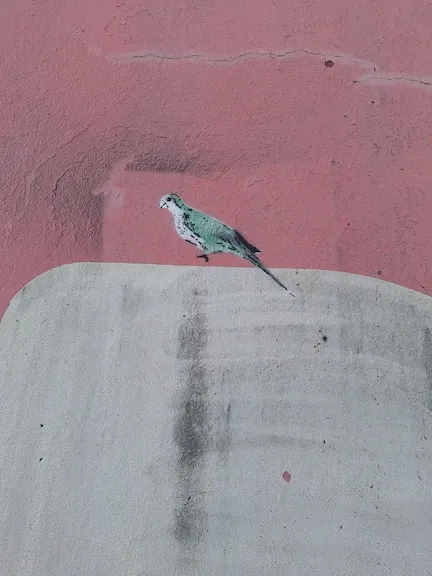 AR Buenos Aires one bird ph Amanda