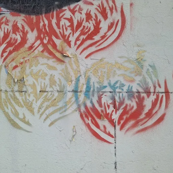 AR Buenos Aires patterns ph Amanda