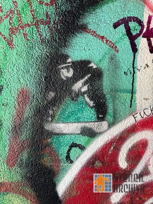 CH Lausanne skateboarding