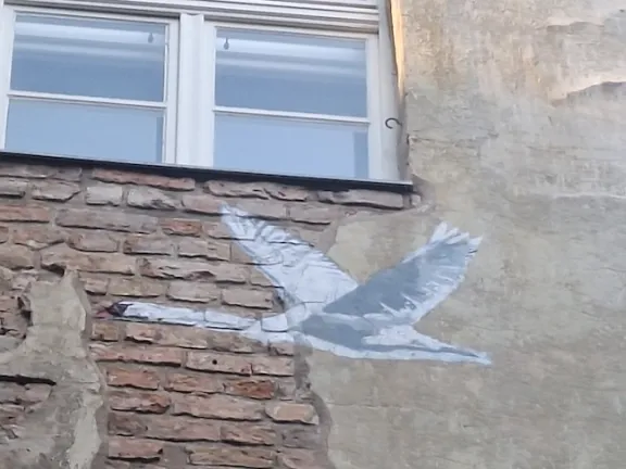 DE Berlin goose ph Amanda