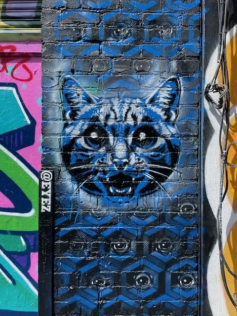 Peat EYEZ 2025 SF Clarion Alley cat