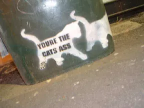 Crack Punk AU Sydney cats ass