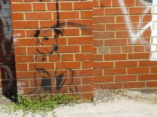 CA Toronto RCA victor dog