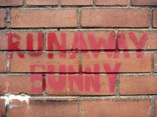 CA Toronto RUNAWAY BUNNY