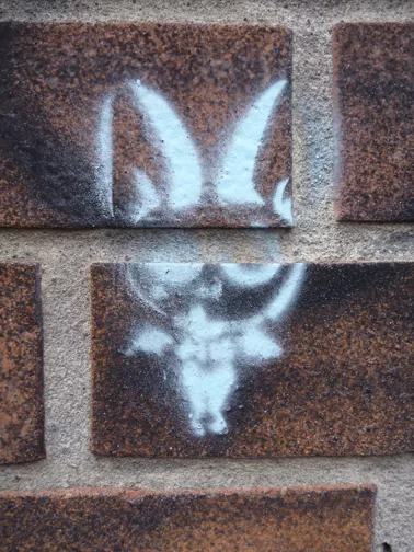 CA Toronto cute bat