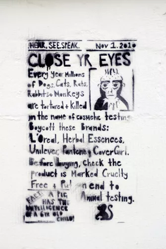 CA Toronto end animal testing