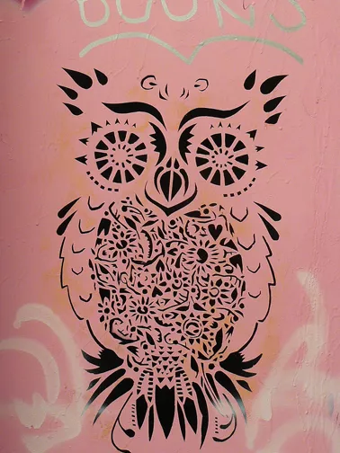 CA Toronto owl
