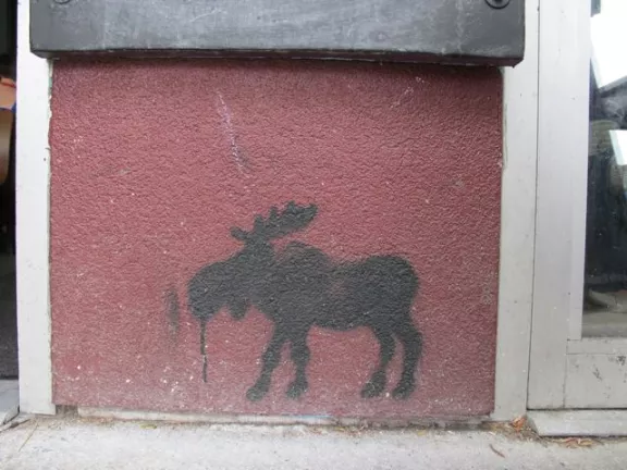CA Vancouver Commercial St. moose