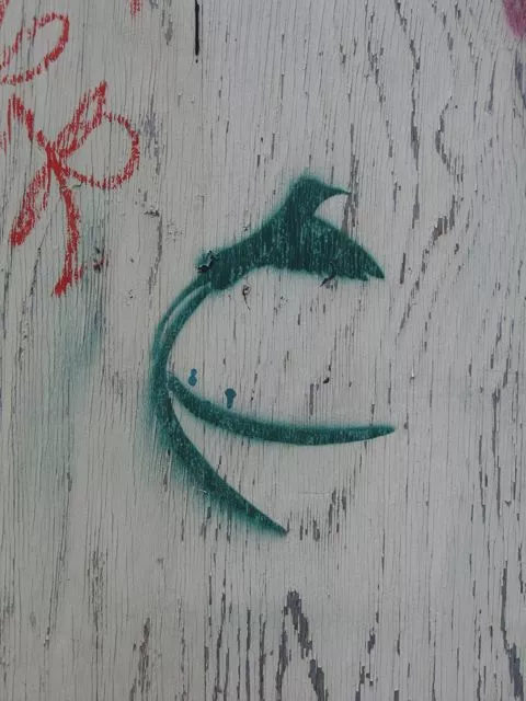 CA Toronto flying bird