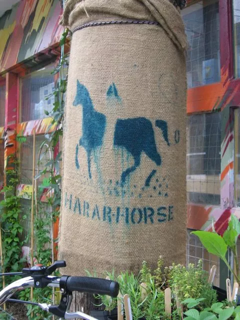 CA_Toronto_Hararhorse