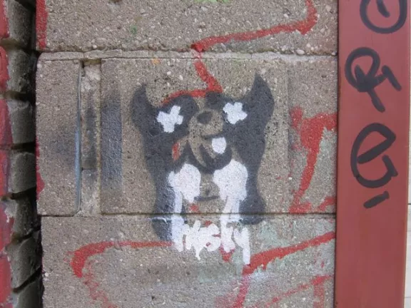 CA Toronto Husky