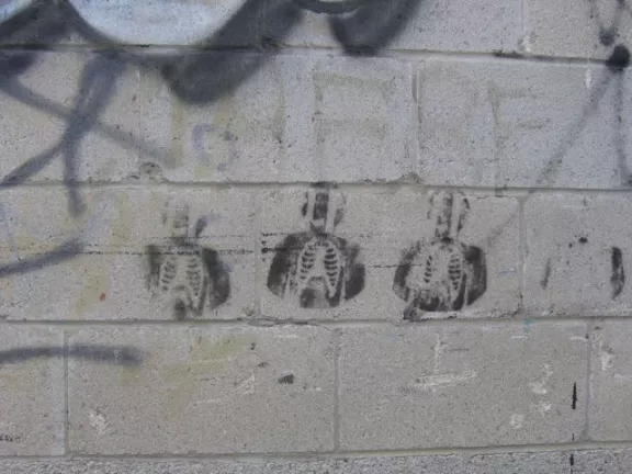 CA Toronto Skeletons