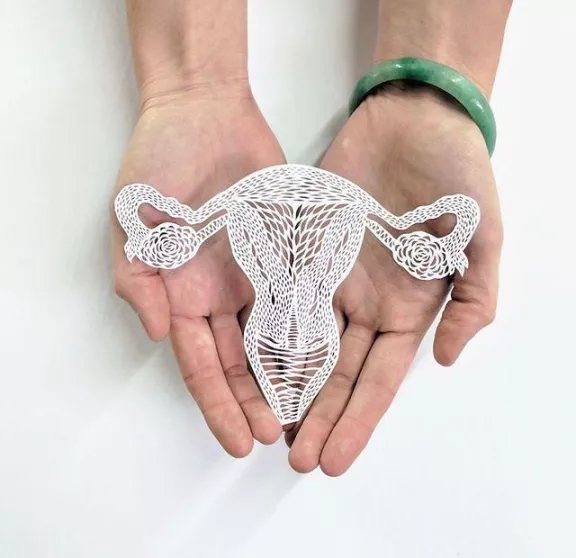 Ali Harrison uterus