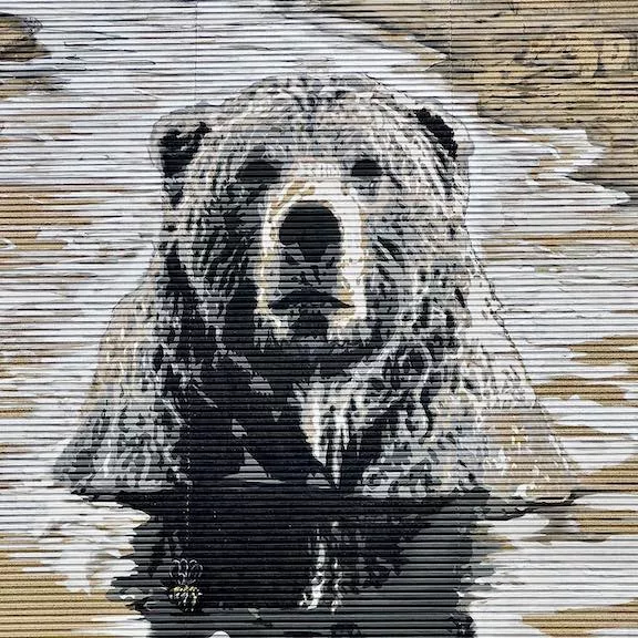 Rad Originals CA Rado Buzy Bear