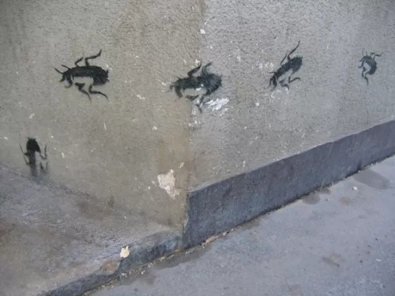 AT Vienna roaches