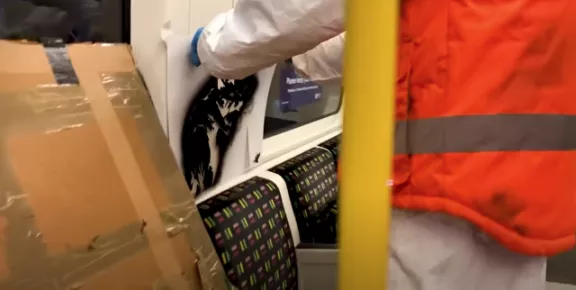 Banksy 2020 COVID-19 rat attack 01
