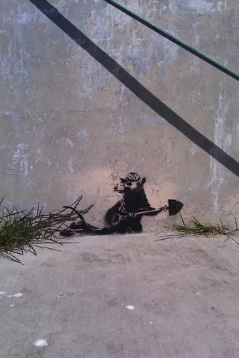 Banksy SF Alcatraz