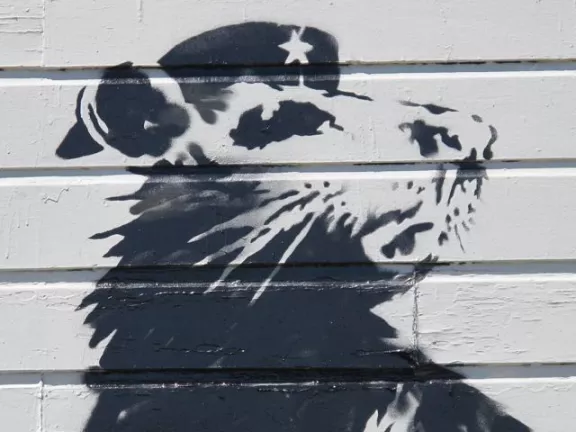Banksy SF Haight Rat detail 02