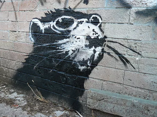 Banksy Toronto CA goggle rat