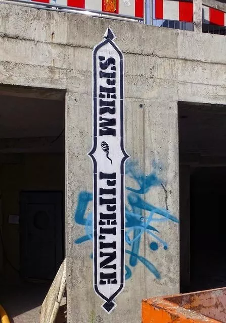 csp_sperm_pipeline