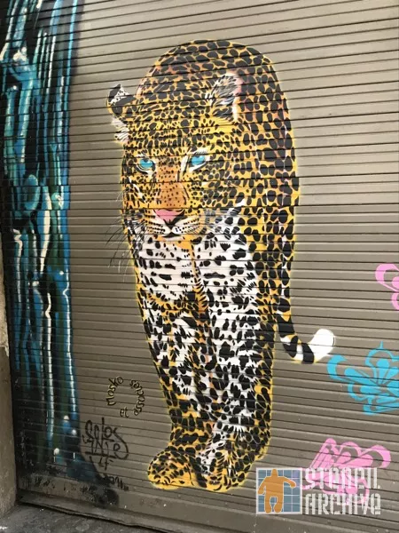 Mosko Paris Le Marais leopard 02