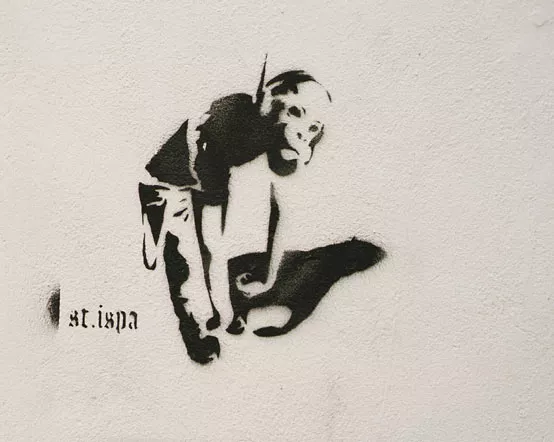 riga stispa monkey