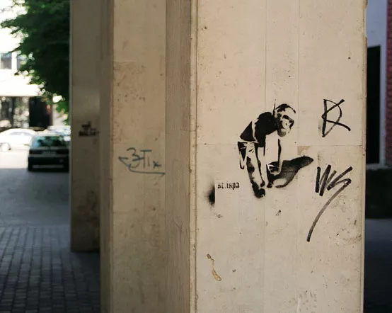 riga stispa monkey2