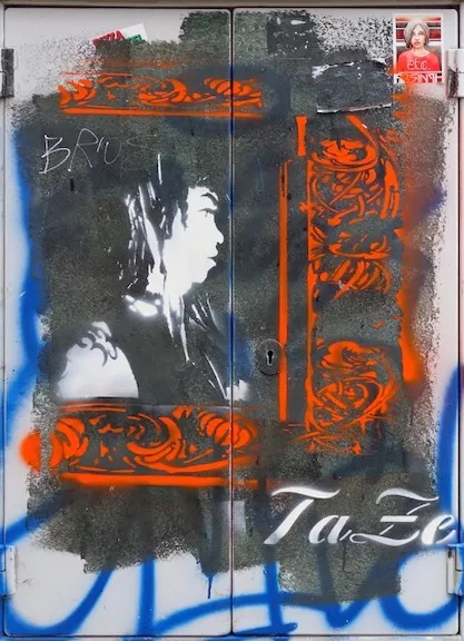 TaZe female in frame
