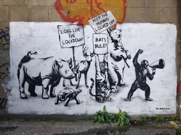 The Rebel Bear UK Glasgow lock down