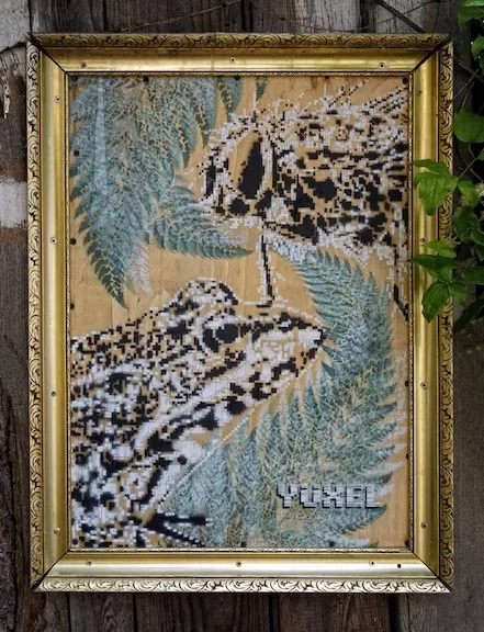 Yuxel frog and fly