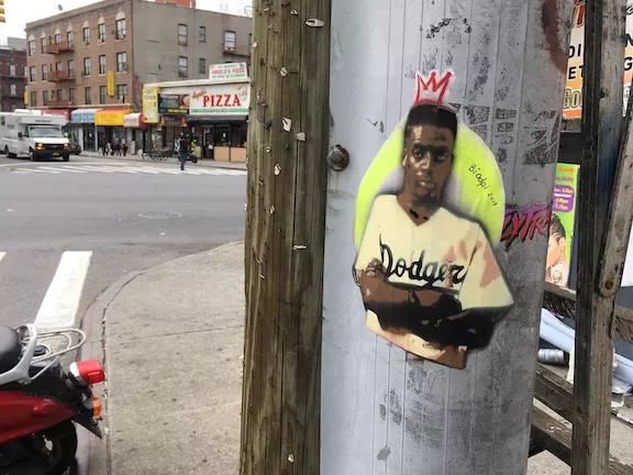 biodpi Spike Lee Bklyn